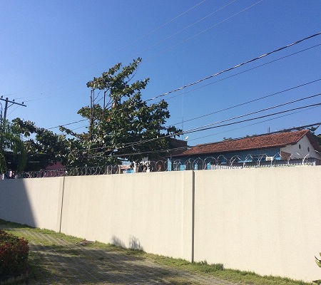 Gallery Image 15